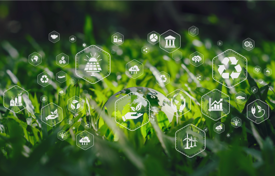 Genetsis Group: imagen para el carrusel interior del Caso de Éxito sobre clúster de industrias de medioambiente mostrando el detalle de unas plantas sanas